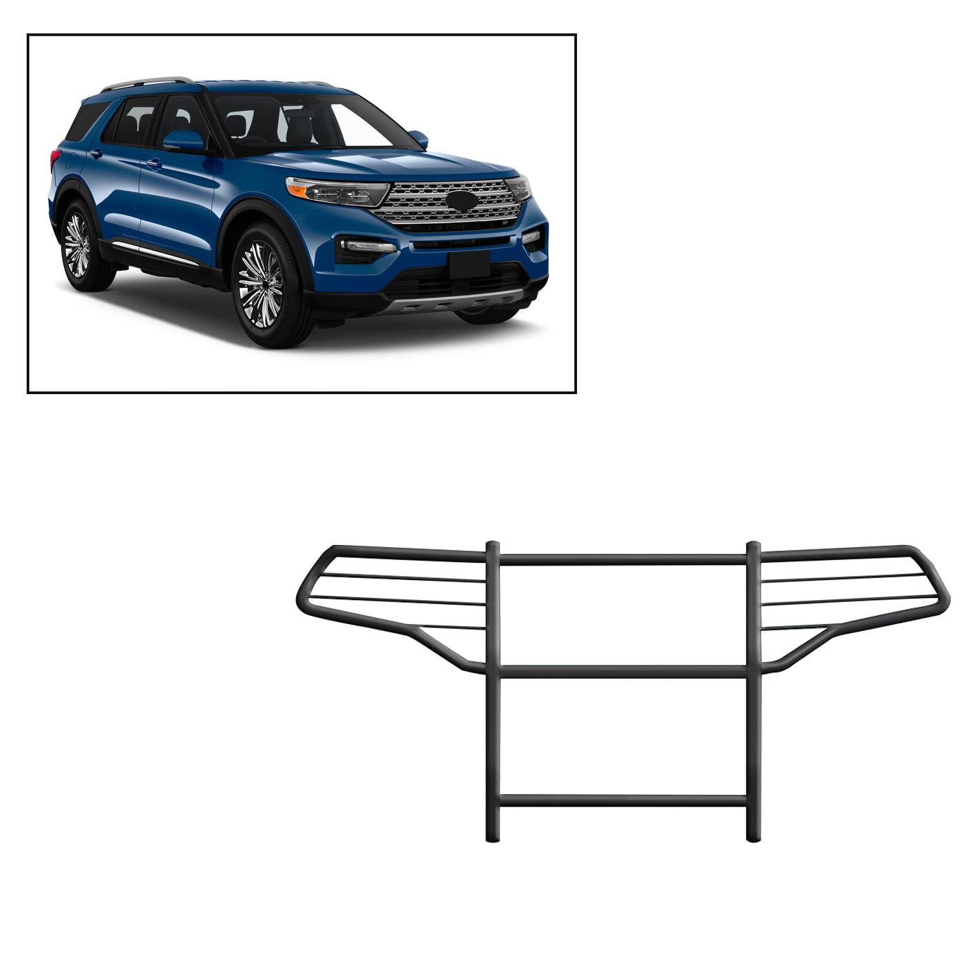 17FJ31MA_1.jpg