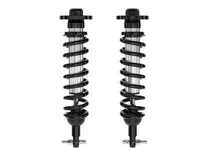 91717_Coilover_PAIR_STRT.jpg
