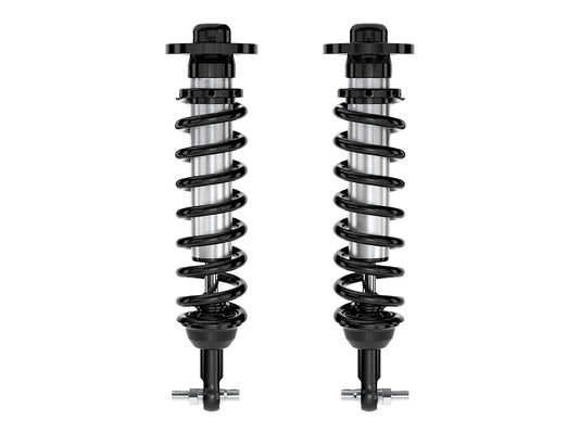 91717_Coilover_PAIR_STRT.jpg